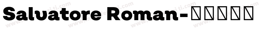 Salvatore Roman字体转换